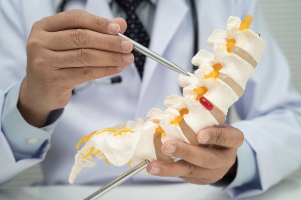 Menopause and bone health