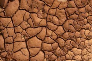 Vaginal Dryness in Menopause: Causes and Treatment Options